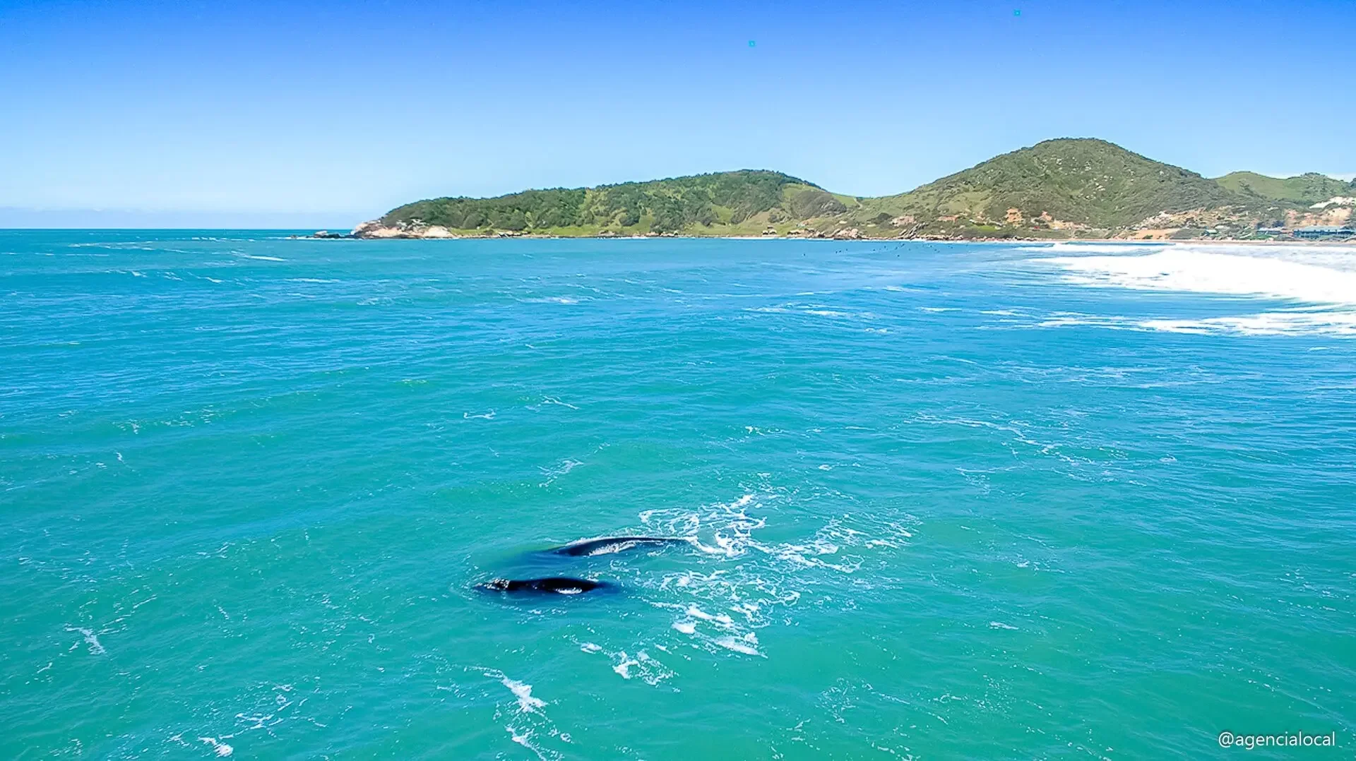 Praia do Rosa